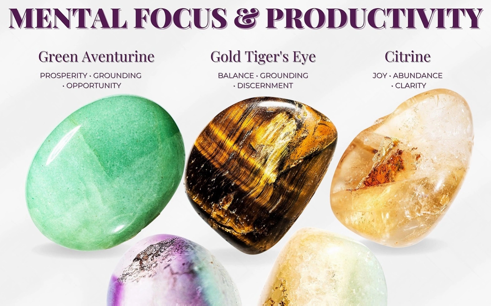Crystallized focus development training
